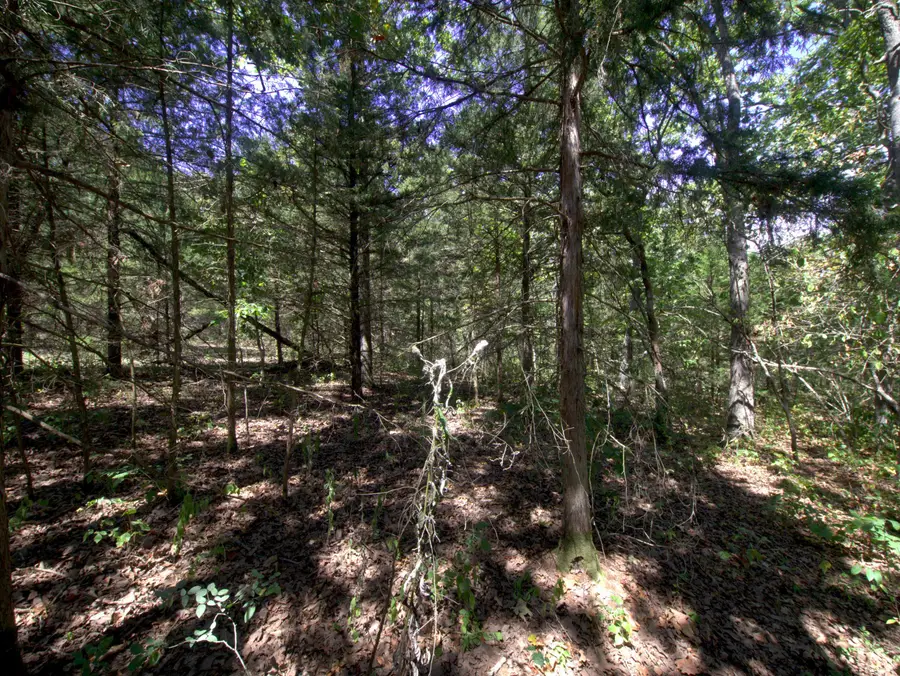 Tract 3&4 Simpson Rd, Urbana, MO 65767 - #3