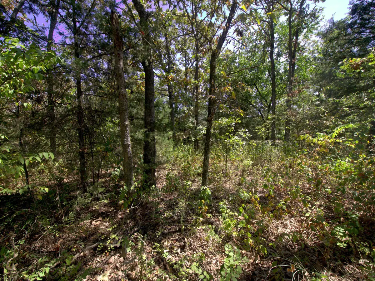 Tract 2-4 Simpson Rd, Urbana, MO 65767 - #1