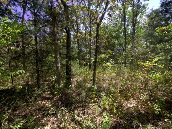 Tract 2-4 Simpson Rd, Urbana, MO 65767