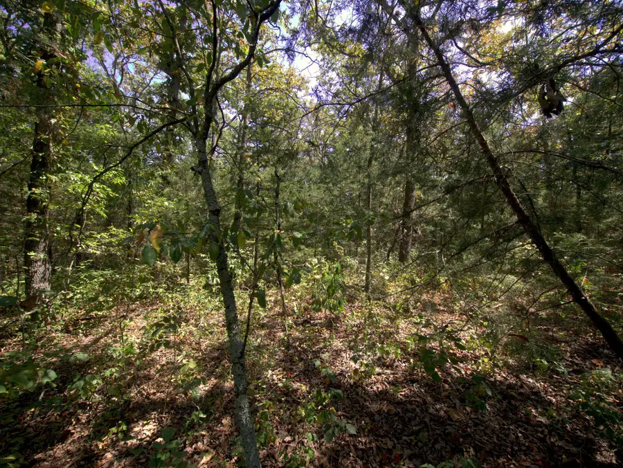 Tract 2-4 Simpson Rd, Urbana, MO 65767 - #2