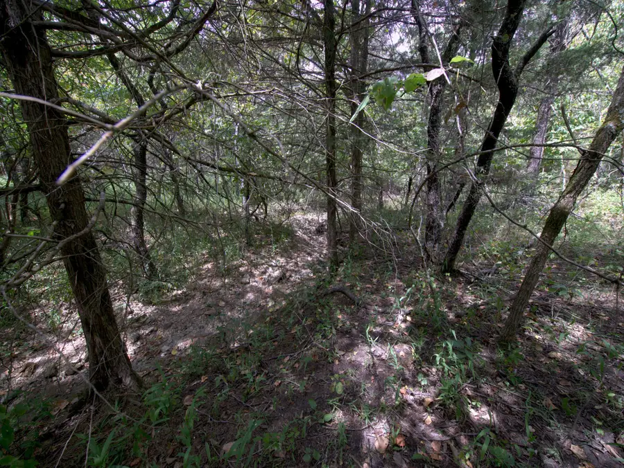 Tract 2-4 Simpson Rd, Urbana, MO 65767 - #3