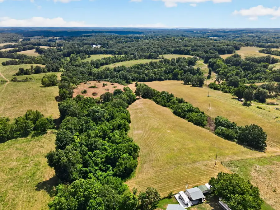 Tbd Swinson Drive, Galena, MO 65656 - #3