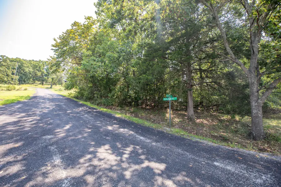 Tbd Parliament Drive #Lot 51, Blue Eye, MO 65611 - #3