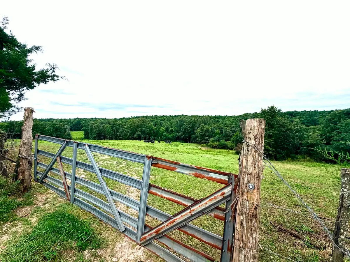 000 County Road 585, Winona, MO 65588 - #1