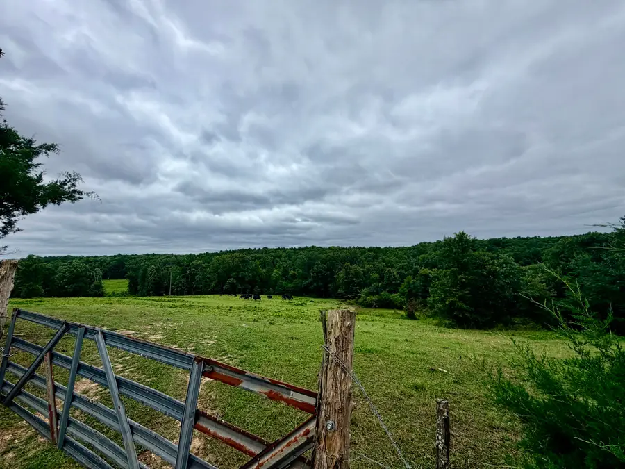 000 County Road 585, Winona, MO 65588 - #2