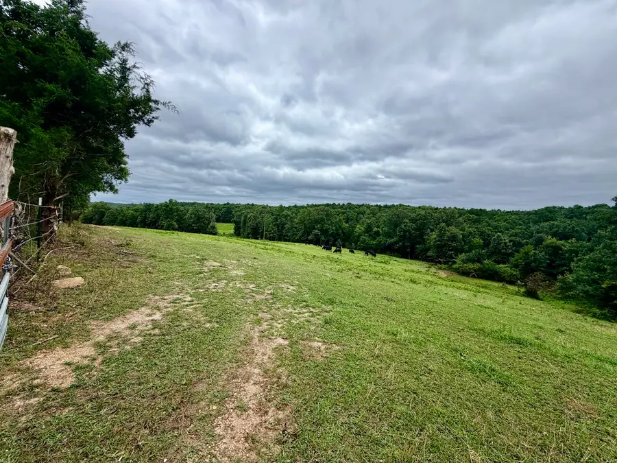 000 County Road 585, Winona, MO 65588 - #3
