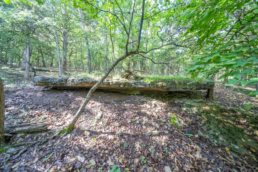 000 County Road 477, Clarkridge, AR 72623 - #3