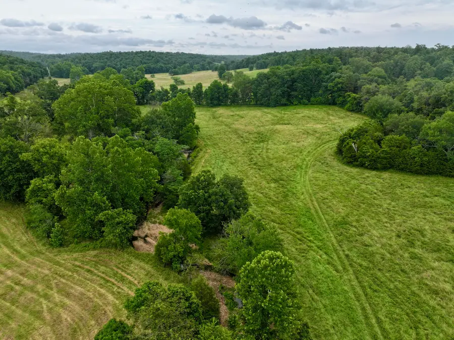 000 County Road 309, Van Buren, MO 63965 - #2