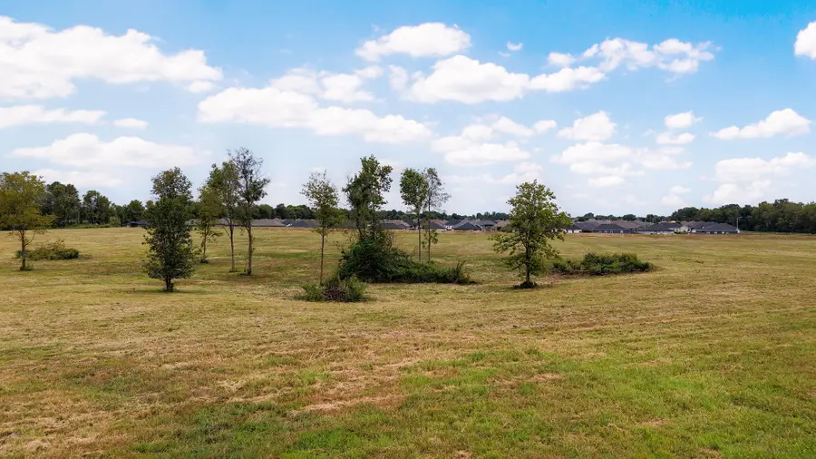 000 S Zary Lane, Springfield, MO 65802 - #3