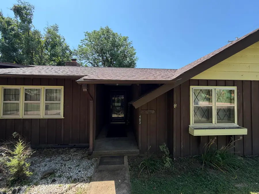403 Luin Street, Van Buren, MO 63965 - #2