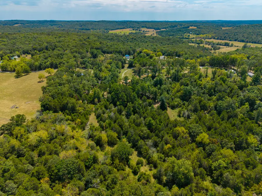 Lot 2 Malberg Road, Cabool, MO 65689 - #2