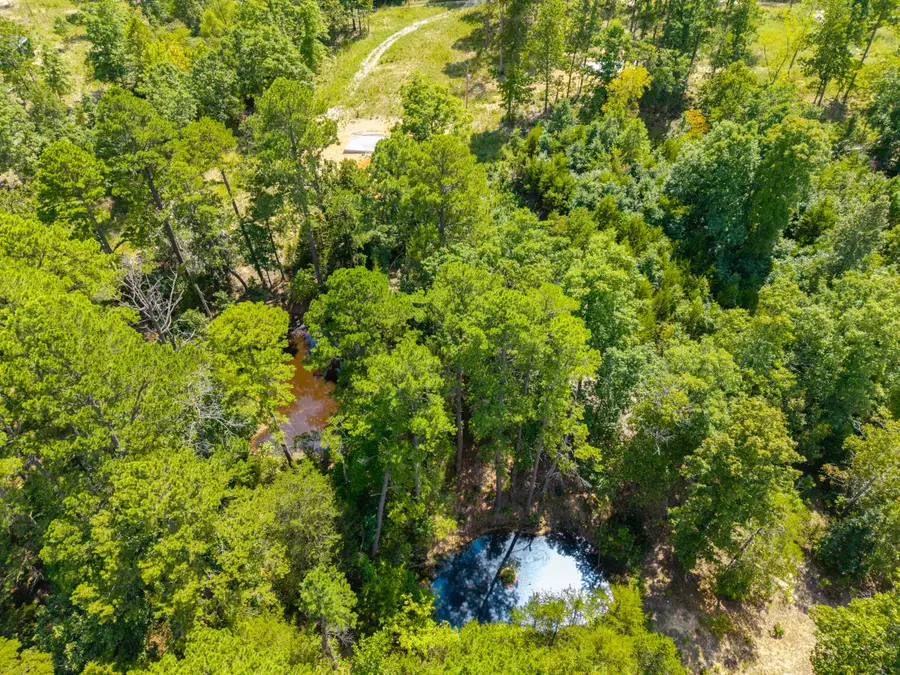 Lot 3 Malberg Road, Cabool, MO 65689 - #3