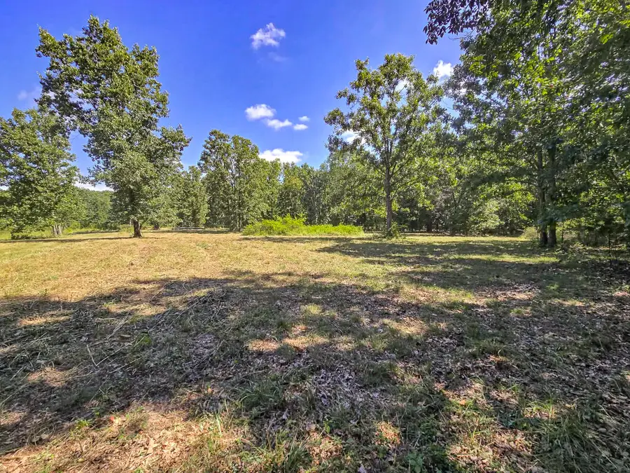 000 Highway 181, Cabool, MO 65689 - #2