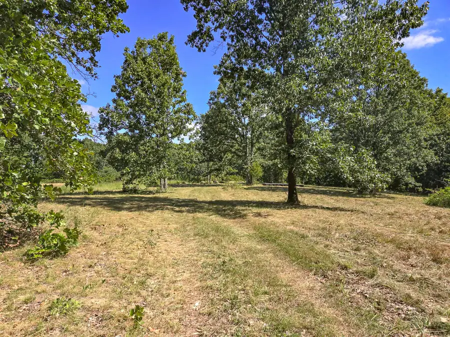 000 Highway 181, Cabool, MO 65689 - #3