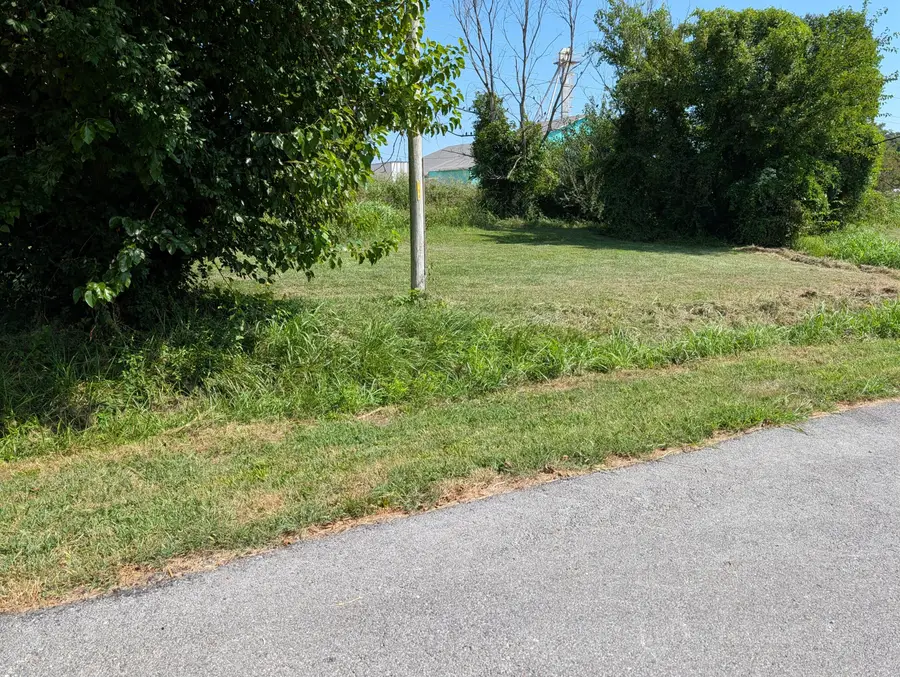 000 S Chustnut Street, Buffalo, MO 65622 - #3