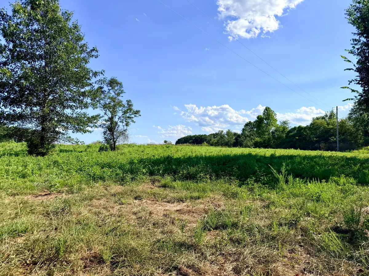 379 Fabuzi Lane, Galena, MO 65656 - #1