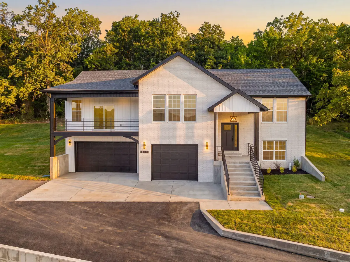 186 Jacks Hollow Road, Walnut Shade, MO 65771 - #1