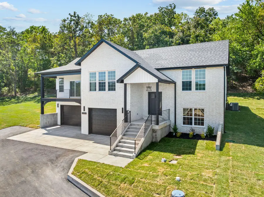186 Jacks Hollow Road, Walnut Shade, MO 65771 - #2