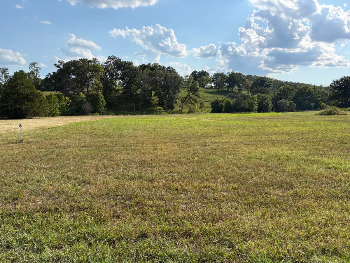 Lot 27 Spring Valley Drive, Mammoth Spring, AR 72554 - #1