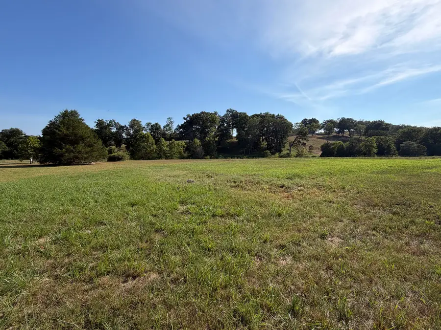 Lot 27 Spring Valley Drive, Mammoth Spring, AR 72554 - #3
