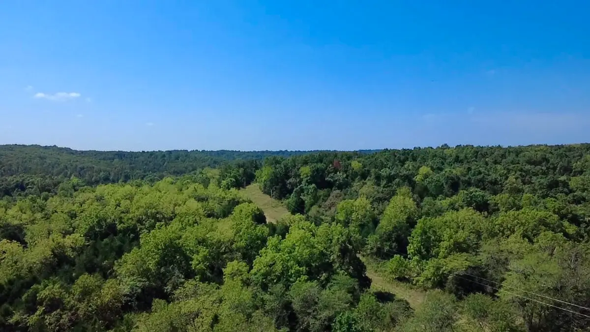 00 Oak Grove Road, Cabool, MO 65689 - #1