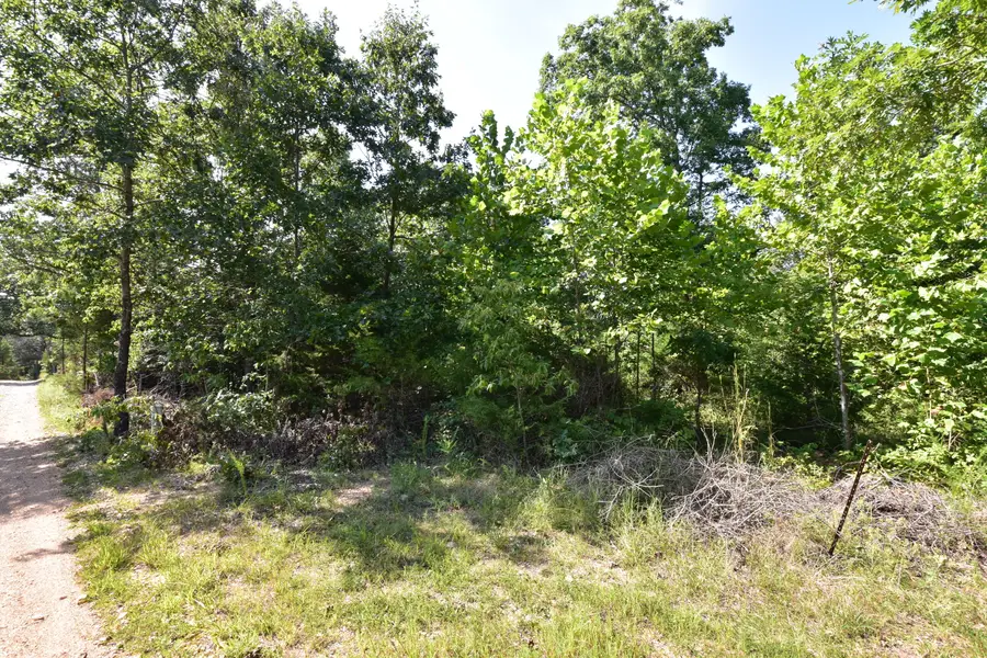 000 Deckard Road, Fordland, MO 65652 - #2