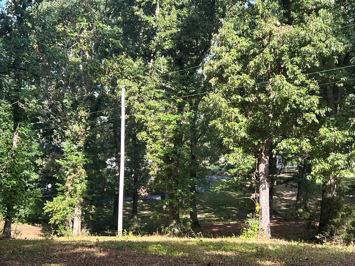 000 N Highway 9, Mammoth Spring, AR 72554 - #1