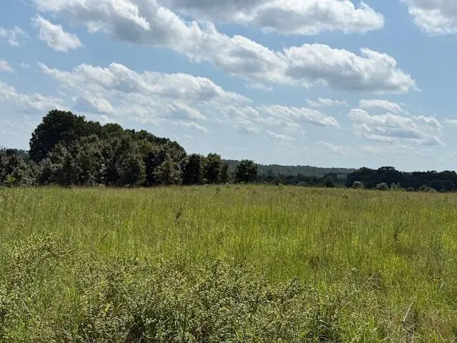 2285 County Road 437-b, Mountain View, MO 65548 - #2