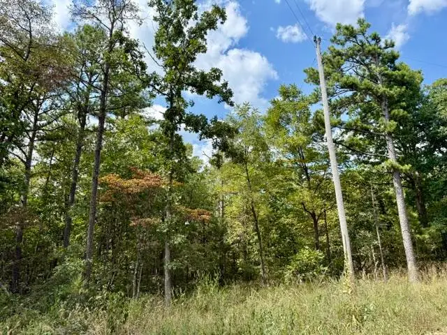 000 Texas Tower Road, Licking, MO 65542 - #1