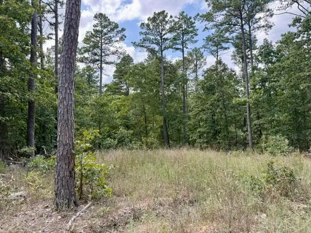 000 Texas Tower Road, Licking, MO 65542 - #2