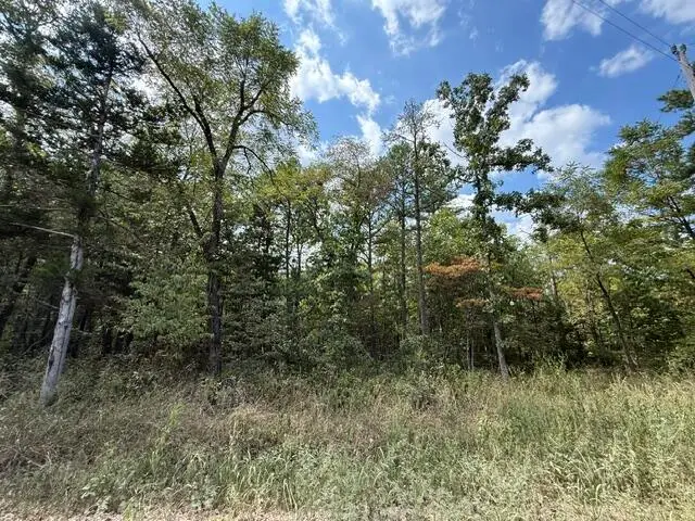 000 Texas Tower Road, Licking, MO 65542 - #3