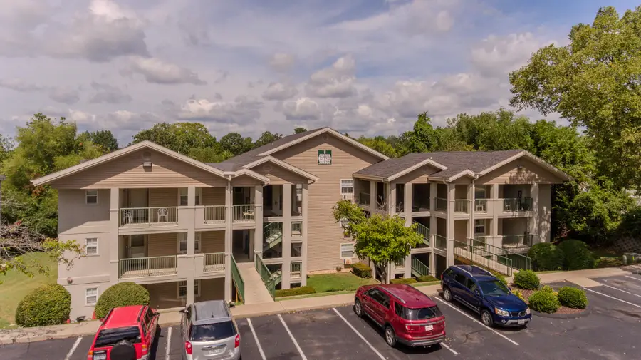 155 W Rockford Drive, Branson, MO 65616 - #3