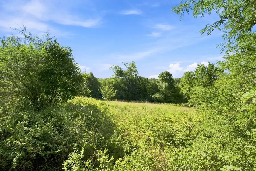 520 Crawley Way, Forsyth, MO 65653 - #3