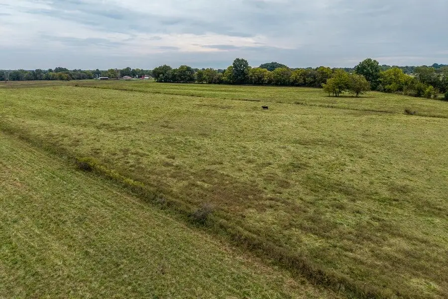 016 County Road 270, Carl Junction, MO 64834 - #2