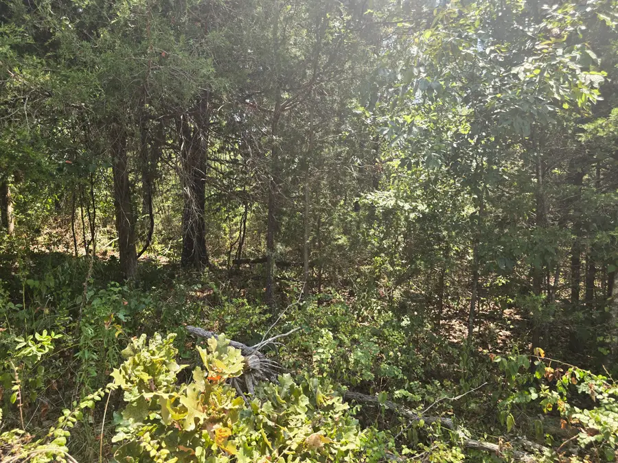 000 Sackett Road #1, Licking, MO 65542 - #3