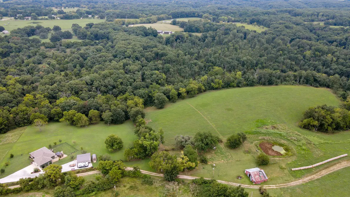 363 Henry Drive, Ozark, MO 65721 - #1