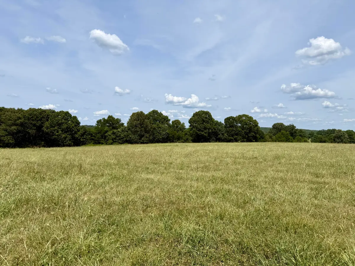 000 Barnum Drive Tract I-2, Cabool, MO 65689 - #1