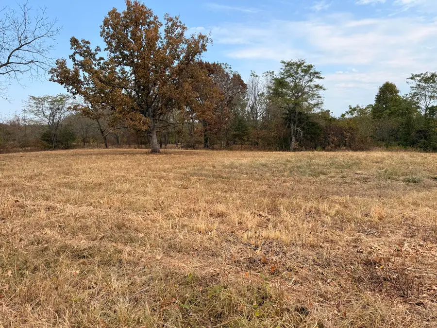 1002 Dys Drive, Cabool, MO 65689 - #2
