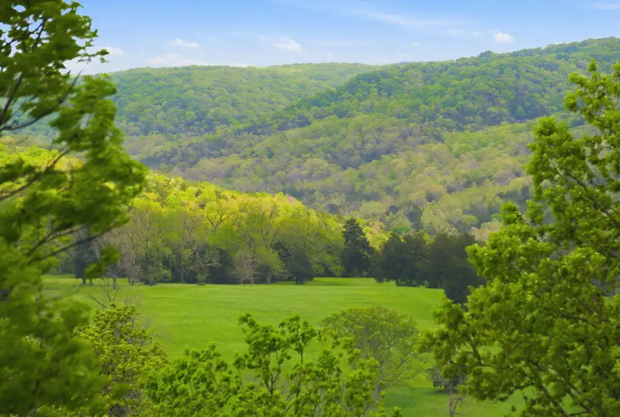 Lot 2 Meadowview Lane, Saddlebrooke, MO 65630 - #3
