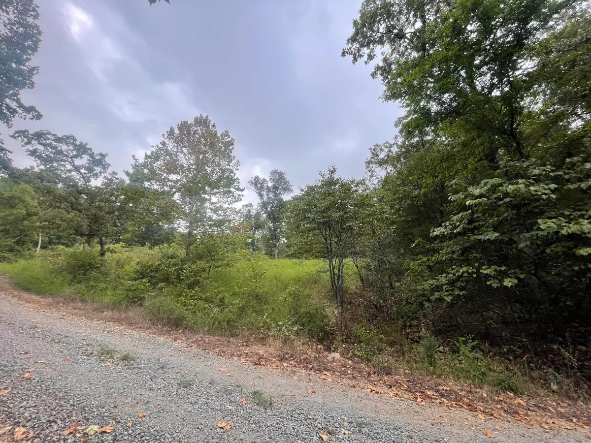 000 Fernwood Drive, Theodosia, MO 65761 - #1