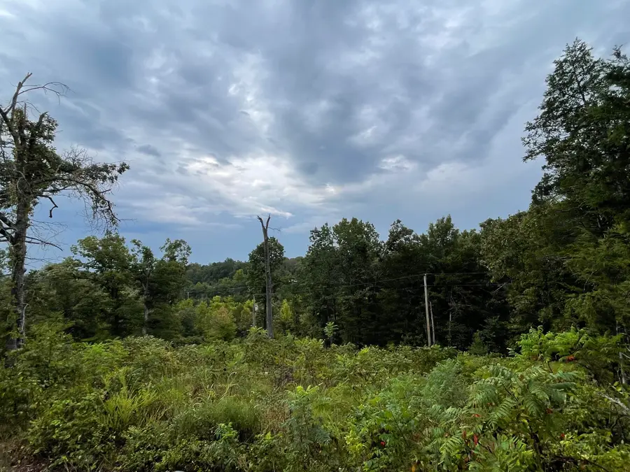000 Fernwood Drive, Theodosia, MO 65761 - #3