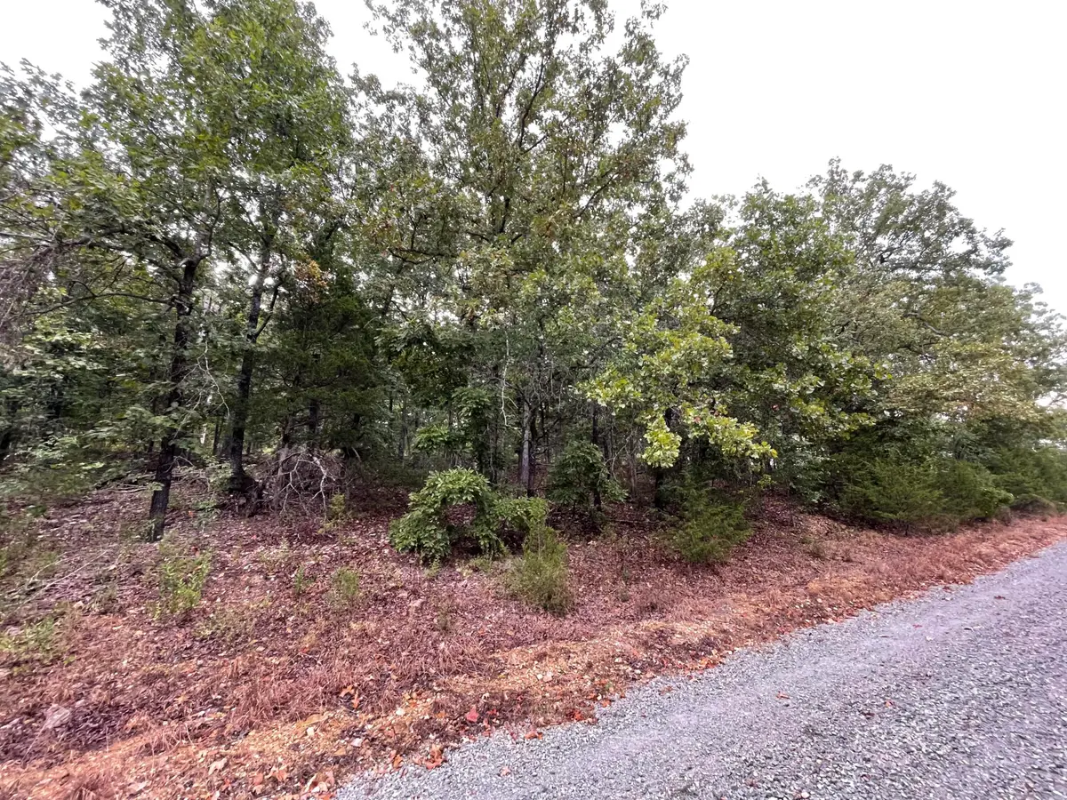 000 Fernwood Drive, Theodosia, MO 65761 - #1