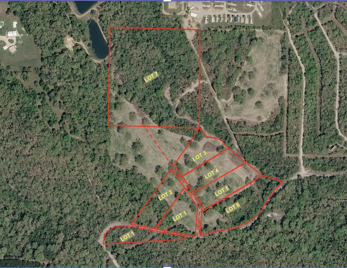 Lot 3 County Road 635, Theodosia, MO 65761 - #1
