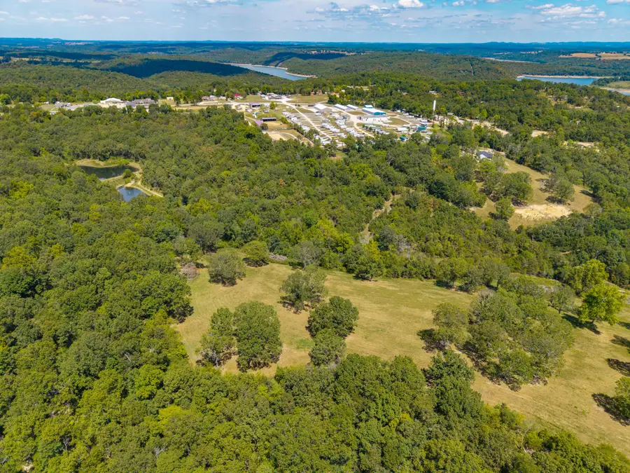 Lot 3 County Road 635, Theodosia, MO 65761 - #2