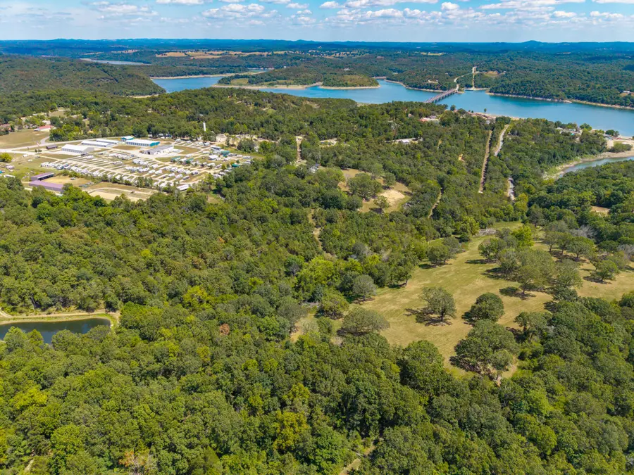 Lot 3 County Road 635, Theodosia, MO 65761 - #3