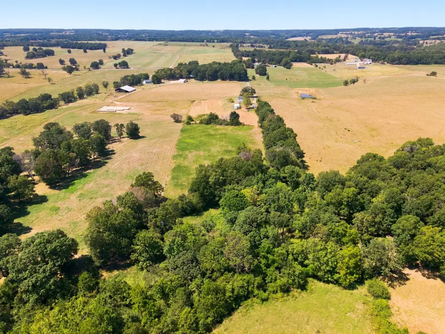 2158 State Highway Jj, Crane, MO 65633 - #3