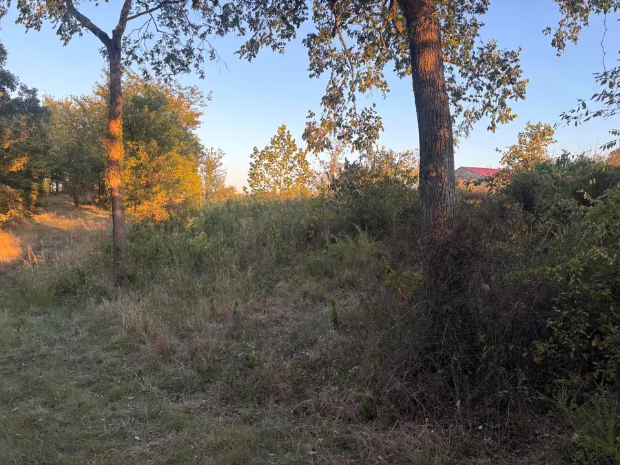 0000 Farm Rd 2274, Golden, MO 65658 - #2
