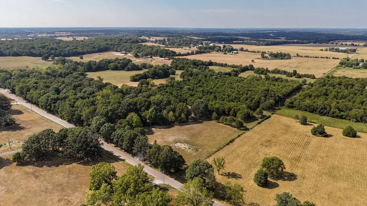 000 Anemone Road, Billings, MO 65610 - #1