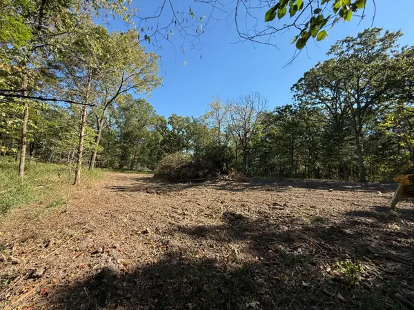 000 203, Wheatland, MO 65779