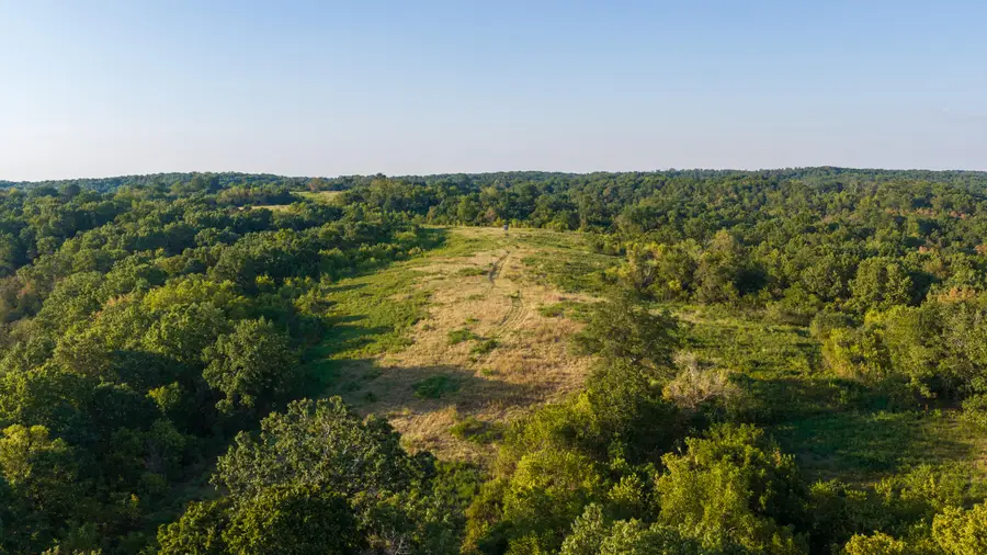 0000 State Highway 90, Washburn, MO 65772 - #3
